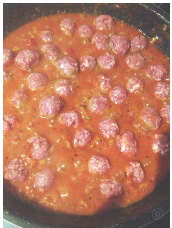 TOMFO-SPEEDY-MEATBALLS2