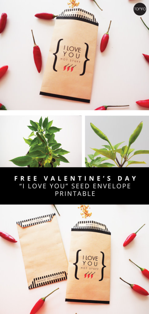 TOMFO-DIY-FREE-ILOVE-YOU-ENVELOPE-PRINTABLEPLANT-FREE-PRINTABLE566