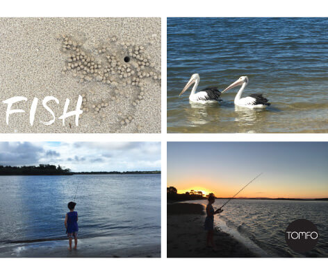 25-awesome-things-to-do-in-Yamba-fish