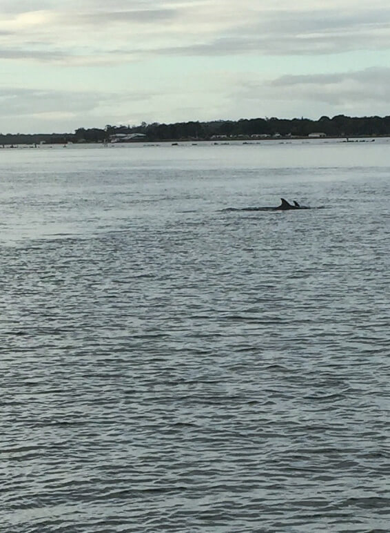 Fishing-yamba-lessons-in-life11-Tomfo