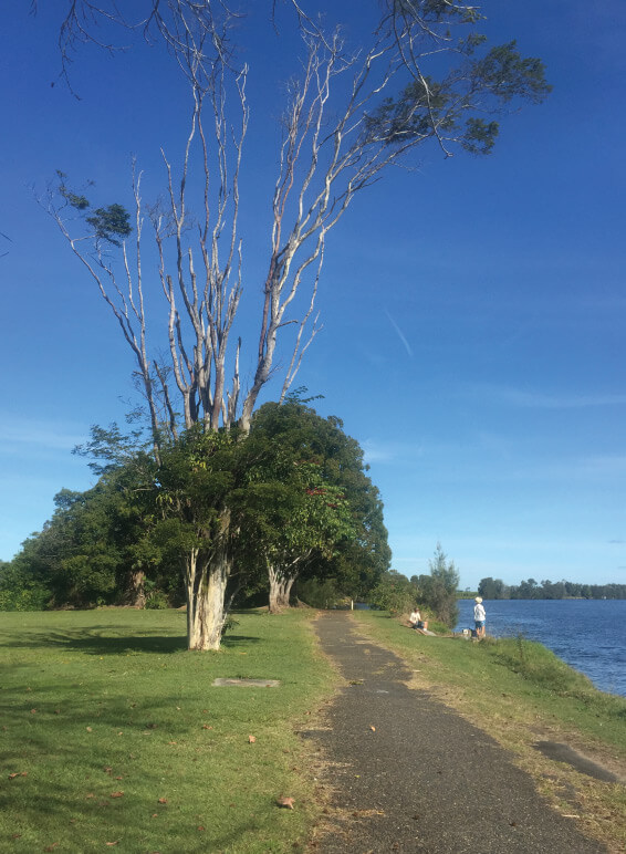 Fishing-yamba-lessons-in-life8-Tomfo