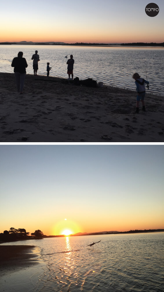 Fishing-pelicans-yamba-Tomfo